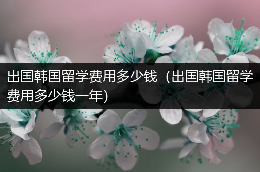 出国韩国留学费用多少钱（出国韩国留学费用多少钱一年）