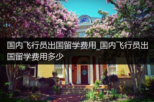 国内飞行员出国留学费用_国内飞行员出国留学费用多少