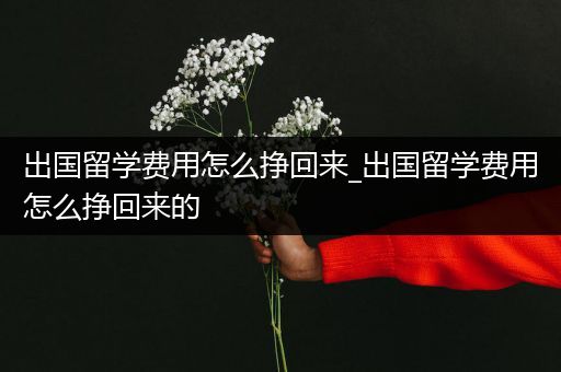出国留学费用怎么挣回来_出国留学费用怎么挣回来的