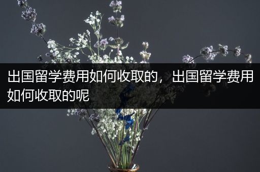 出国留学费用如何收取的，出国留学费用如何收取的呢