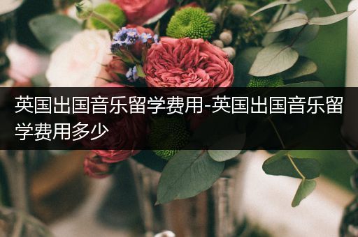 英国出国音乐留学费用-英国出国音乐留学费用多少