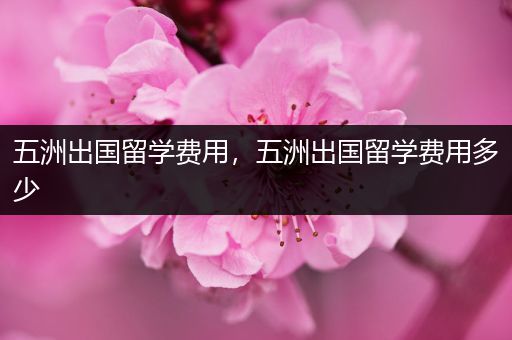 五洲出国留学费用，五洲出国留学费用多少