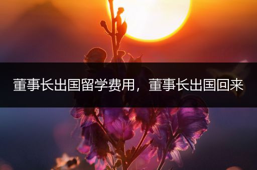 董事长出国留学费用，董事长出国回来