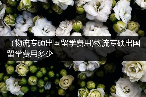 （物流专硕出国留学费用)物流专硕出国留学费用多少