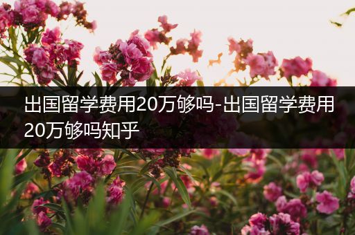 出国留学费用20万够吗-出国留学费用20万够吗知乎