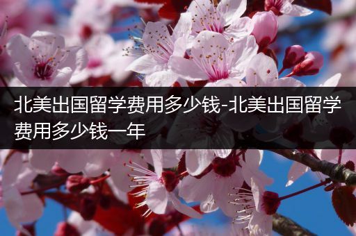 北美出国留学费用多少钱-北美出国留学费用多少钱一年