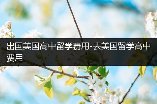 出国美国高中留学费用-去美国留学高中费用
