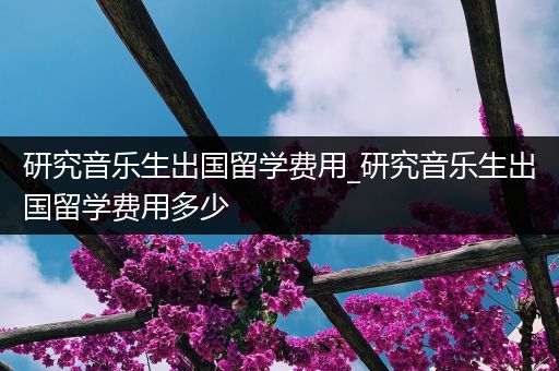 研究音乐生出国留学费用_研究音乐生出国留学费用多少