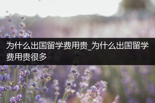 为什么出国留学费用贵_为什么出国留学费用贵很多