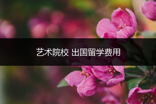 艺术院校 出国留学费用