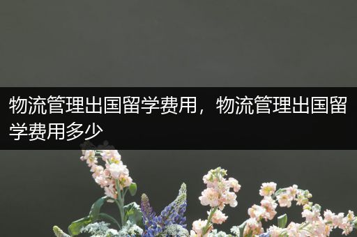 物流管理出国留学费用，物流管理出国留学费用多少
