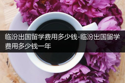 临汾出国留学费用多少钱-临汾出国留学费用多少钱一年