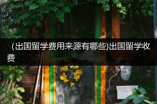 （出国留学费用来源有哪些)出国留学收费