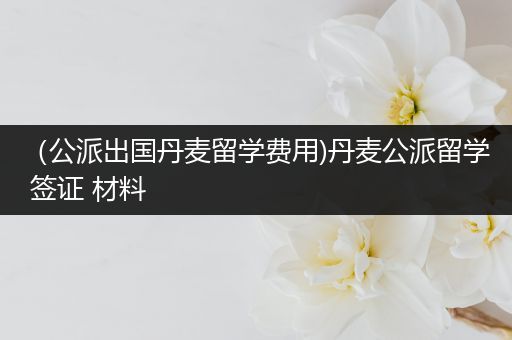 （公派出国丹麦留学费用)丹麦公派留学 签证 材料