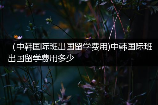 （中韩国际班出国留学费用)中韩国际班出国留学费用多少