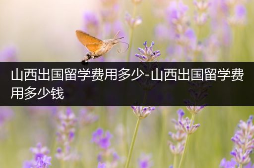山西出国留学费用多少-山西出国留学费用多少钱