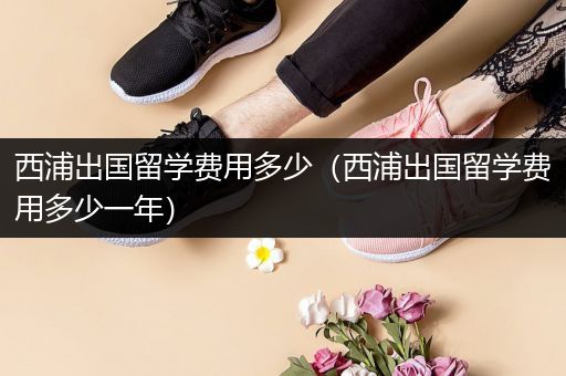 西浦出国留学费用多少（西浦出国留学费用多少一年）