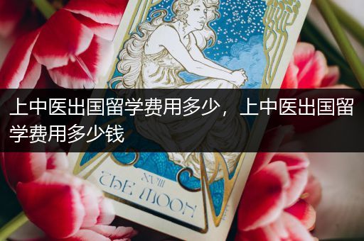 上中医出国留学费用多少，上中医出国留学费用多少钱