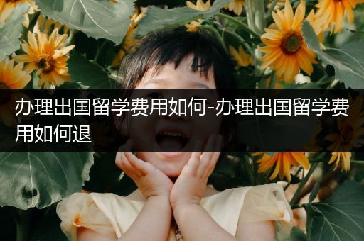 办理出国留学费用如何-办理出国留学费用如何退