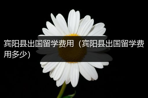 宾阳县出国留学费用（宾阳县出国留学费用多少）