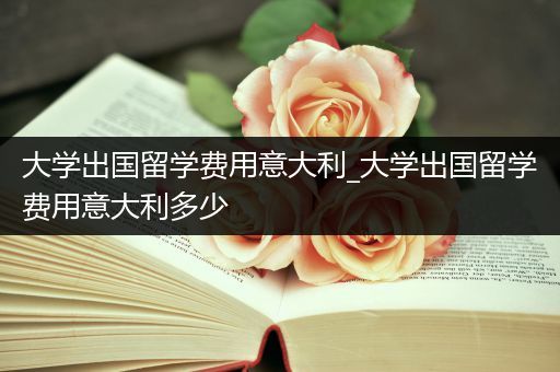 大学出国留学费用意大利_大学出国留学费用意大利多少