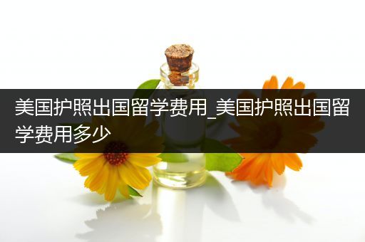 美国护照出国留学费用_美国护照出国留学费用多少