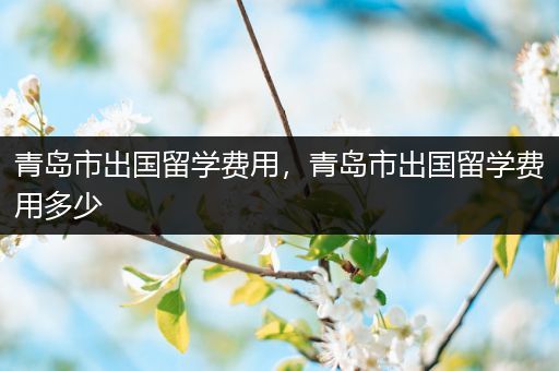 青岛市出国留学费用，青岛市出国留学费用多少