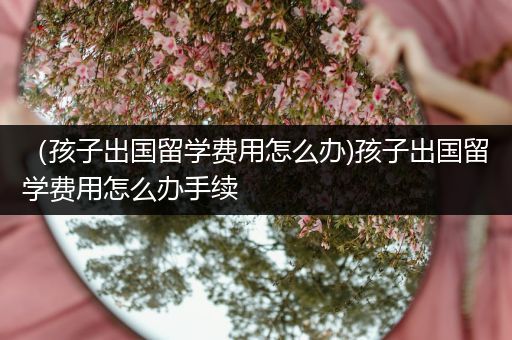 （孩子出国留学费用怎么办)孩子出国留学费用怎么办手续