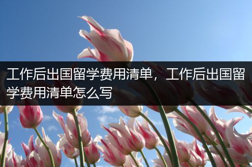 工作后出国留学费用清单，工作后出国留学费用清单怎么写