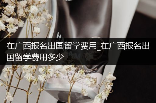 在广西报名出国留学费用_在广西报名出国留学费用多少