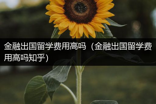金融出国留学费用高吗（金融出国留学费用高吗知乎）