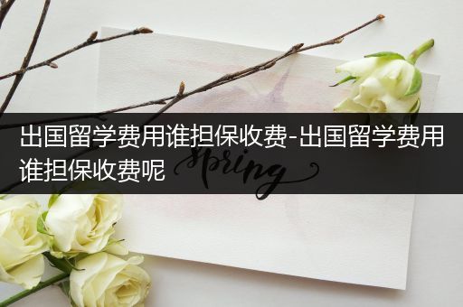出国留学费用谁担保收费-出国留学费用谁担保收费呢