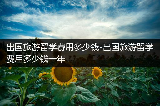出国旅游留学费用多少钱-出国旅游留学费用多少钱一年