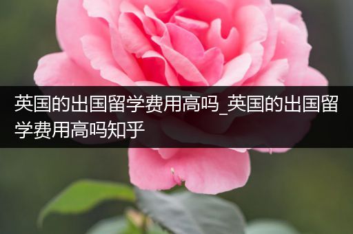 英国的出国留学费用高吗_英国的出国留学费用高吗知乎