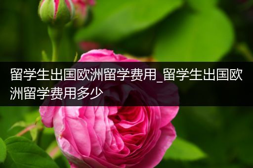 留学生出国欧洲留学费用_留学生出国欧洲留学费用多少
