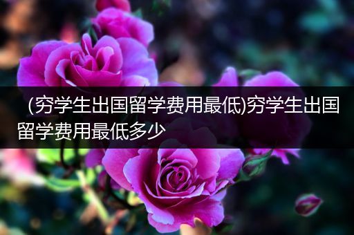 （穷学生出国留学费用最低)穷学生出国留学费用最低多少