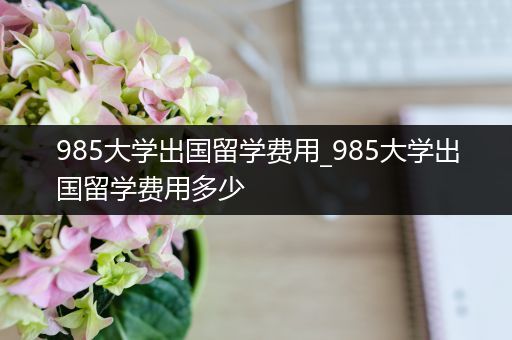 985大学出国留学费用_985大学出国留学费用多少