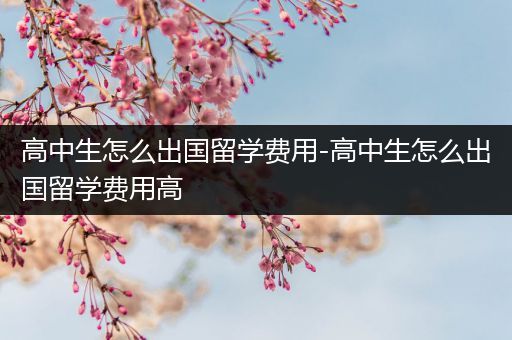 高中生怎么出国留学费用-高中生怎么出国留学费用高