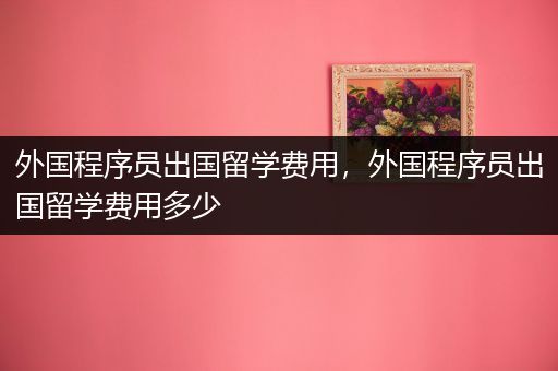 外国程序员出国留学费用，外国程序员出国留学费用多少