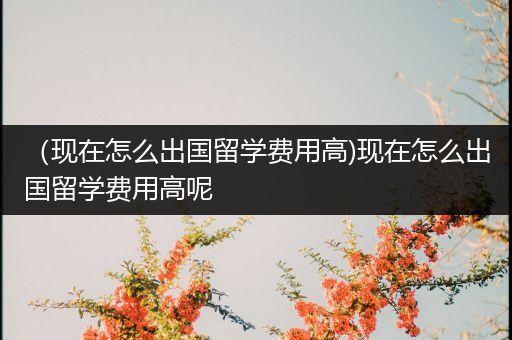 （现在怎么出国留学费用高)现在怎么出国留学费用高呢
