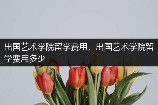 出国艺术学院留学费用，出国艺术学院留学费用多少
