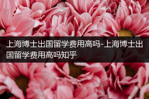 上海博士出国留学费用高吗-上海博士出国留学费用高吗知乎