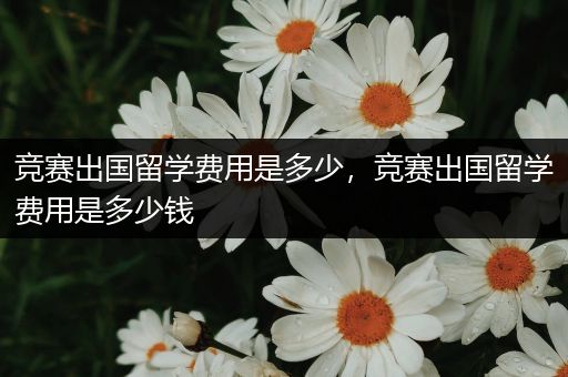 竞赛出国留学费用是多少，竞赛出国留学费用是多少钱