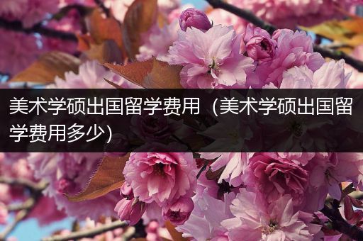 美术学硕出国留学费用（美术学硕出国留学费用多少）