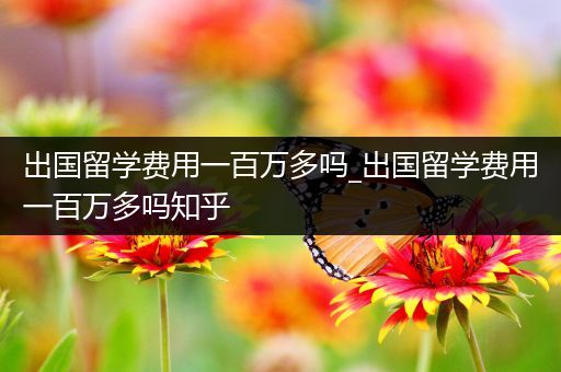 出国留学费用一百万多吗_出国留学费用一百万多吗知乎