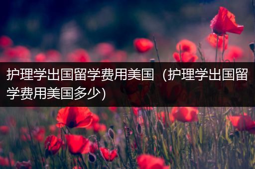 护理学出国留学费用美国（护理学出国留学费用美国多少）