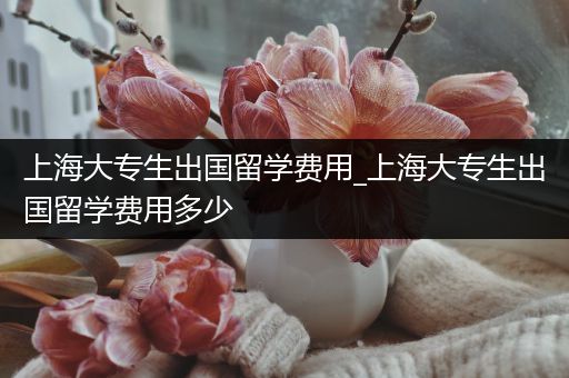 上海大专生出国留学费用_上海大专生出国留学费用多少