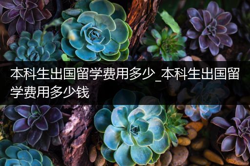 本科生出国留学费用多少_本科生出国留学费用多少钱