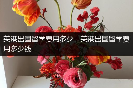 英港出国留学费用多少，英港出国留学费用多少钱