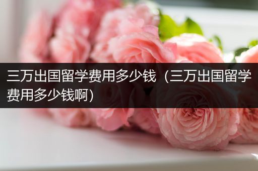 三万出国留学费用多少钱（三万出国留学费用多少钱啊）